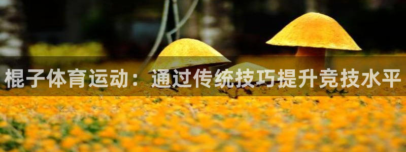 凯发官网下载平台注册流程图：棍子体育运动：通过传统技