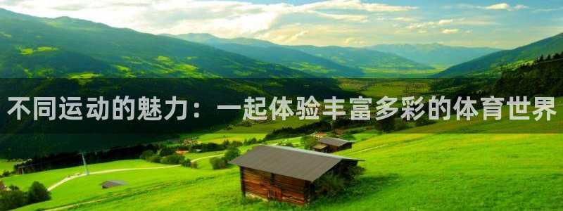凯发官网下载平台注册要钱吗：不同运动的魅力：一起体验