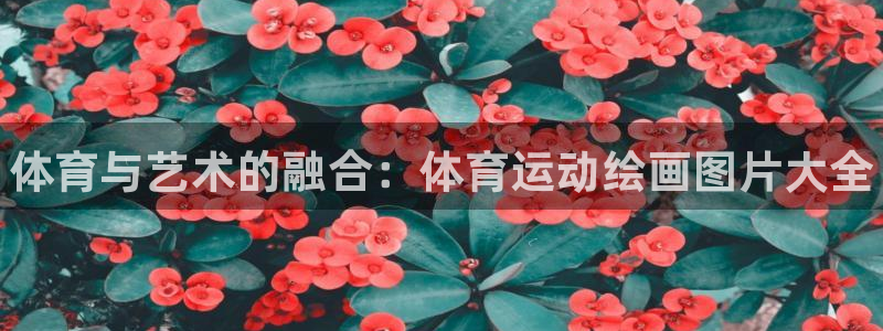 凯发官方正版app娱乐首页官网下载：体育与艺术的融合