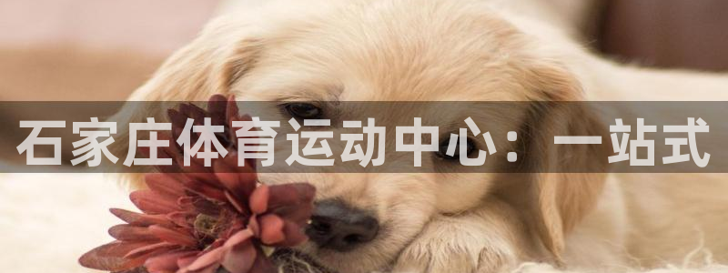 凯发官网下载平台：石家庄体育运动中心：一站式