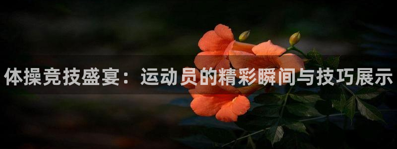 凯发官网下载平台注册要钱吗是真的吗：体操竞技盛宴：运动员的精