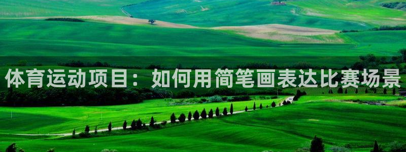 海南凯发官网下载：体育运动项目：如何用简笔画表达比赛场景