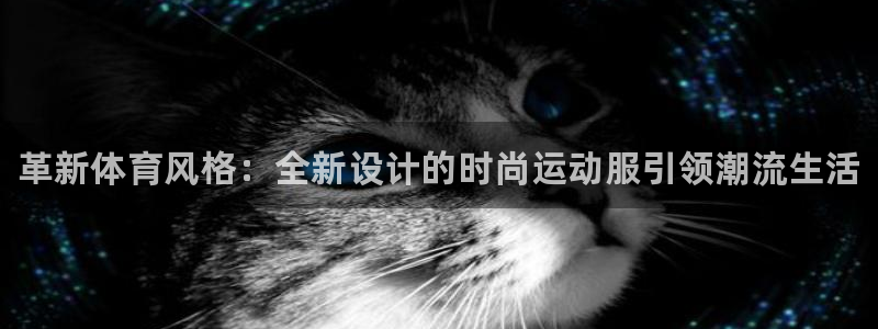 凯发官方正版app集团简介
