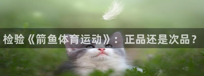 凯发官网下载平台注册流程视频：检验《箭鱼体育运动》：正品还是
