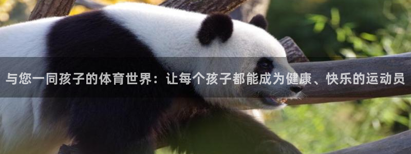 凯发官网下载招商电话号码查询是多少：与您一同孩子的体育世界：