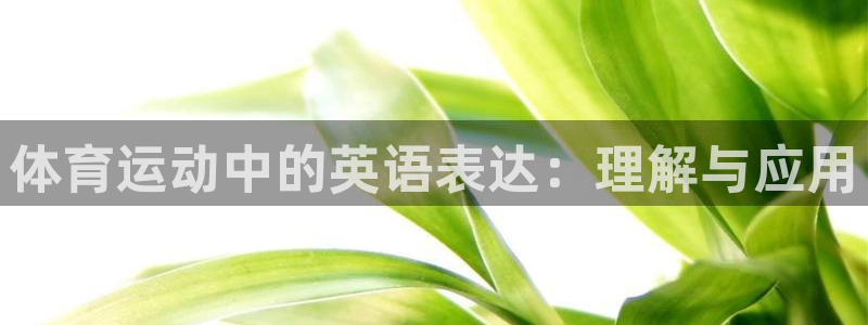 凯发官方正版app集团简介：体育运动中的英语表达：理解与应用