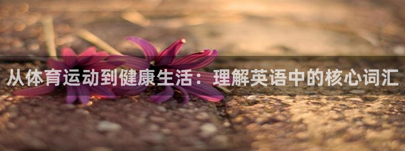 凯发官方正版app娱乐代理怎么样：从体育运动到健康生活：理解