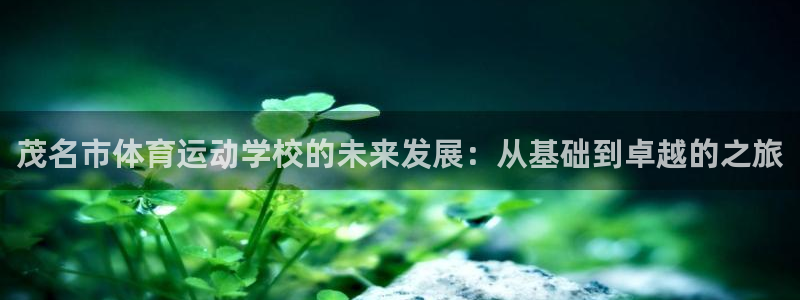 凯发官网下载平台注册流程视频：茂名市体育运动学校的未