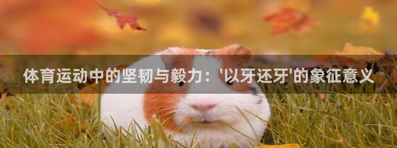 凯发官网下载：体育运动中的坚韧与毅力：\'以牙还牙\