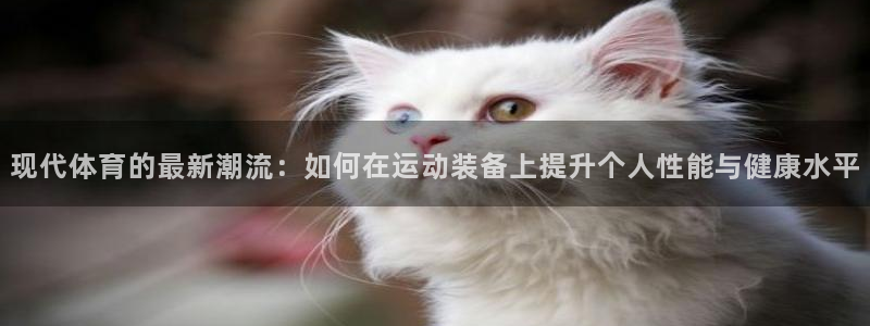 凯发官网下载平台是正规平台吗知乎：现代体育的最新潮流