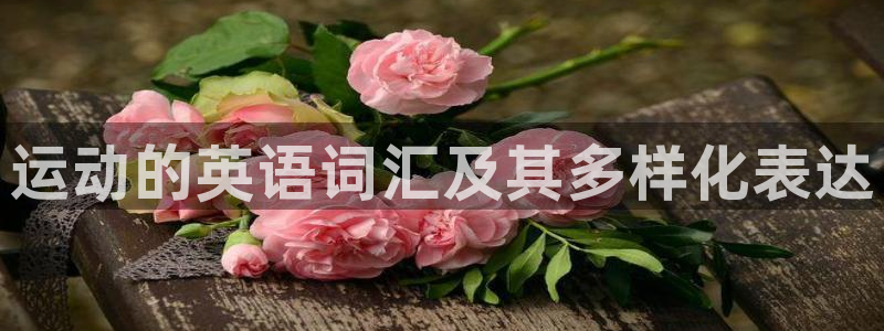 凯发官网下载是干嘛的公司：运动的英语词汇及其多样化表达