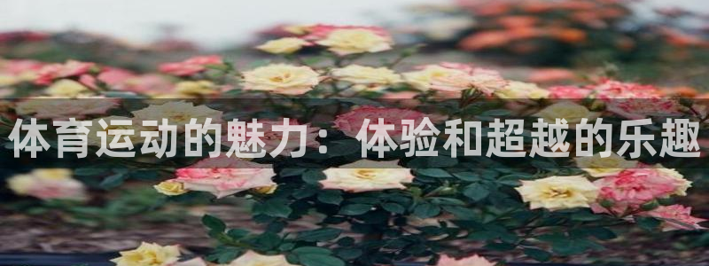 凯发官网下载招商电话是多少号码：体育运动的魅力：体验