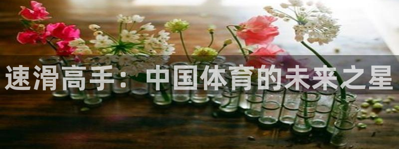 凯发官方正版app娱乐网站：速滑高手：中国体育的未来