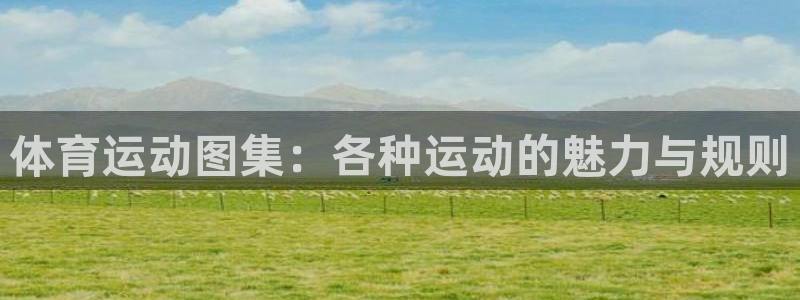凯发官网下载注册：体育运动图集：各种运动的魅力与规则