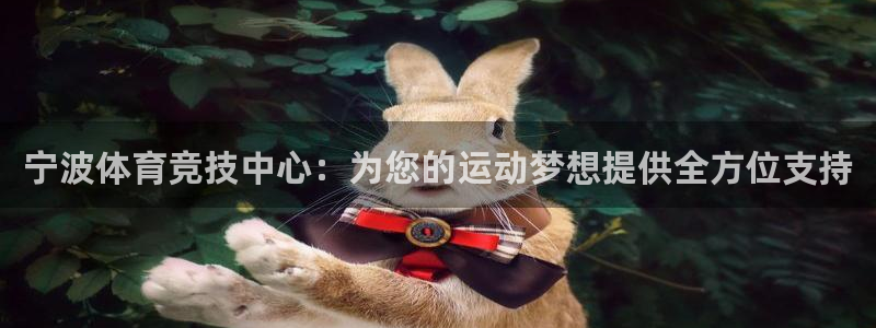 凯发官网下载联系电话：宁波体育竞技中心：为您的运动梦