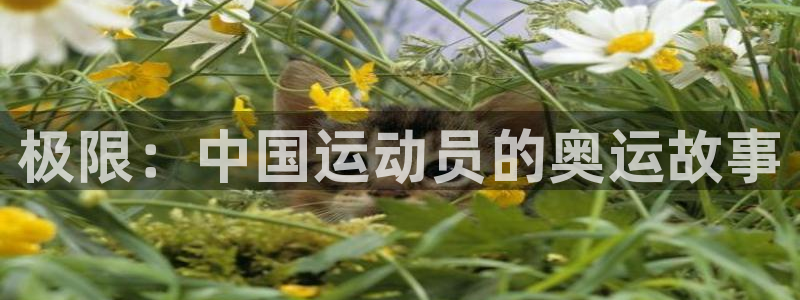 凯发官网下载平台：极限：中国运动员的奥运故事