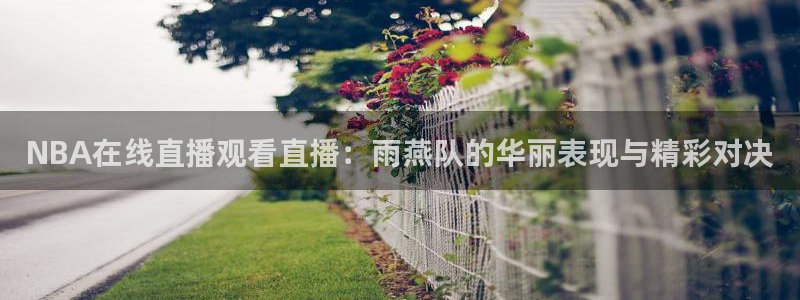 蓝鲸体育直播平台：NBA在线直播观看直播：雨燕队的华丽表现与精彩对决