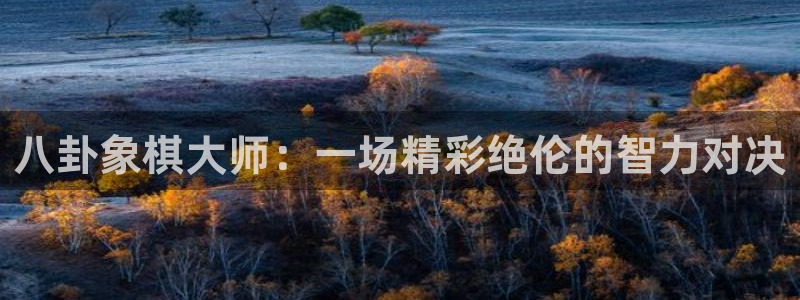 蓝鲸视频：八卦象棋大师：一场精彩绝伦的智力对决