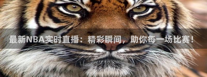 蓝鲸直播体育在线观看：最新NBA实时直播：精彩瞬间，助你每一场比赛！