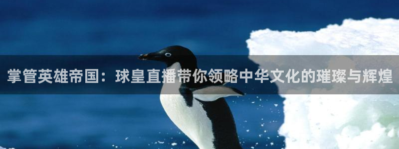 蓝鲸的视频：掌管英雄帝国：球皇直播带你领略中华文化的璀璨与辉煌