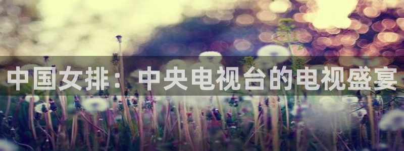 蓝鲸直播体育免费观看