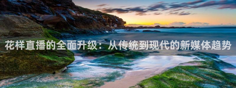 蓝鲸电视：花样直播的全面升级：从传统到现代的新媒体趋势