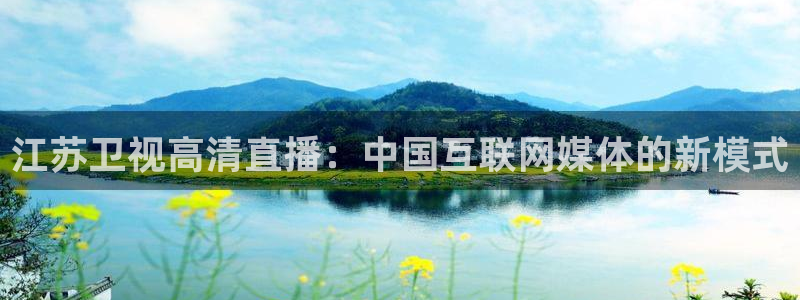 蓝鲸直播男同：江苏卫视高清直播：中国互联网媒体的新模式